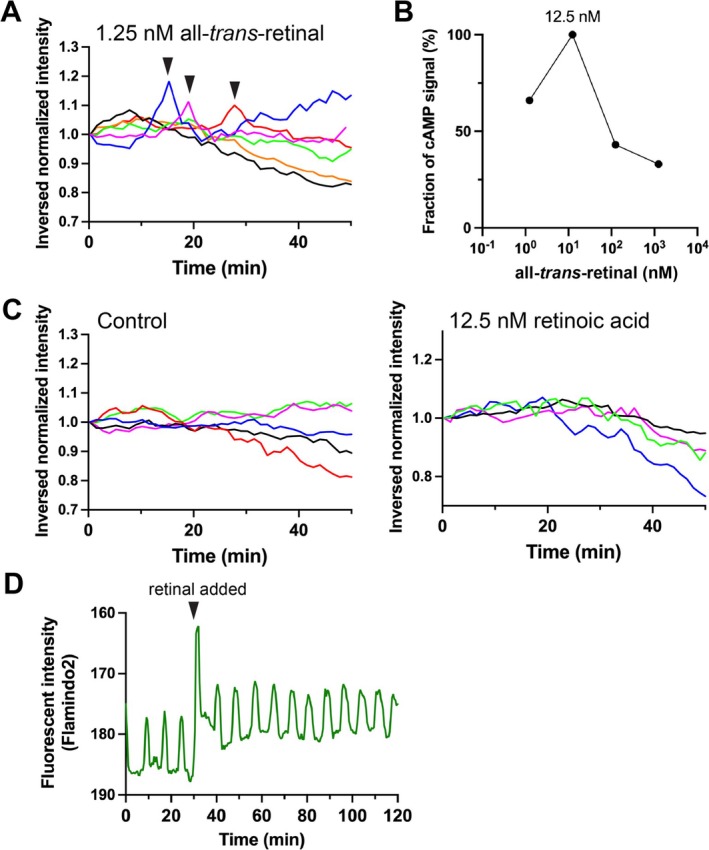 FIGURE 4