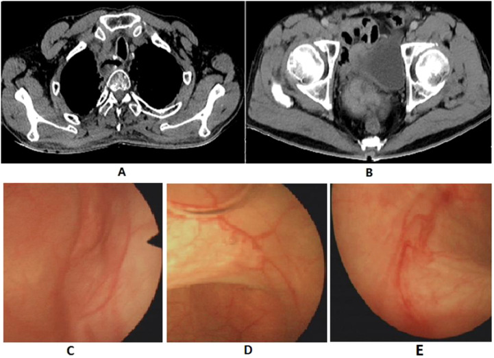 Figure 3