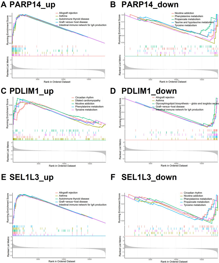 Figure 5