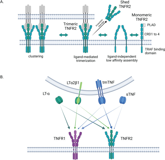 Figure 1