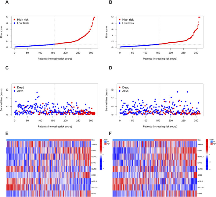 FIGURE 6