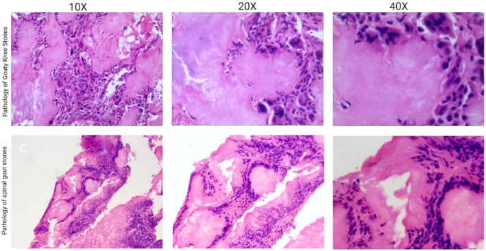 FIGURE 3