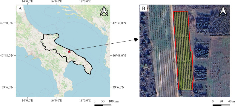 Figure 1