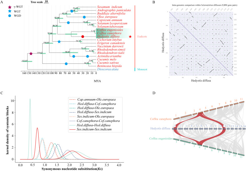 Figure 2