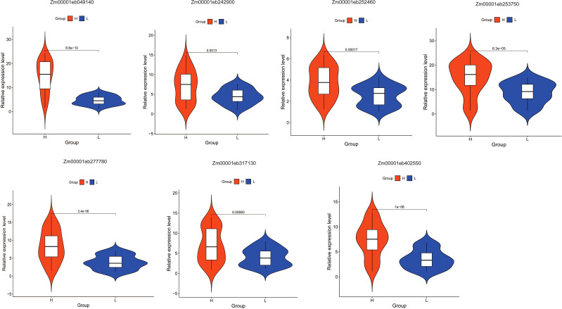 Figure 5