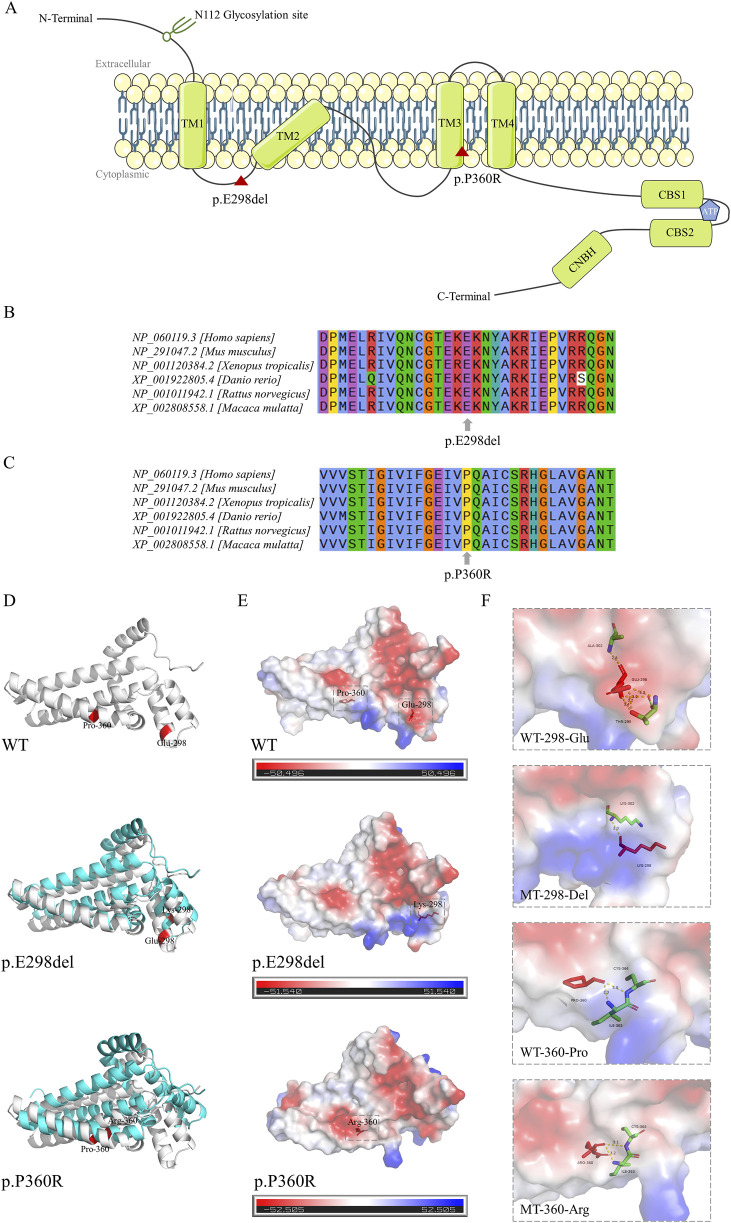 FIGURE 2