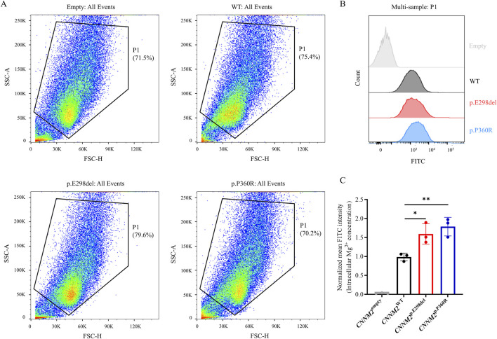 FIGURE 4