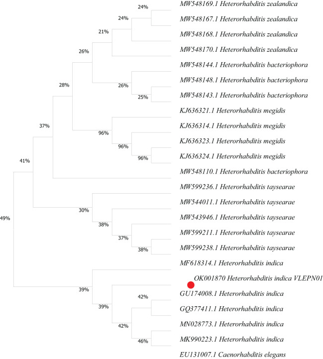 Figure 3