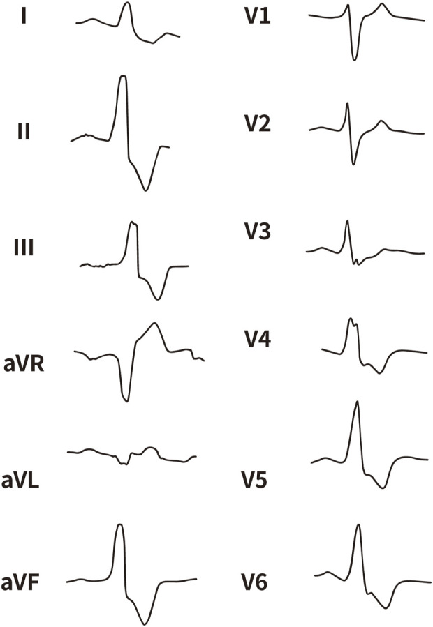 FIGURE 4