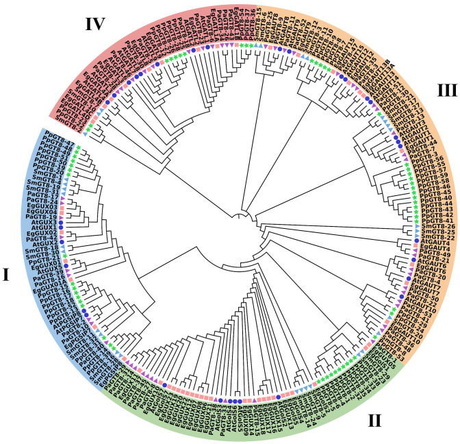 Figure 4