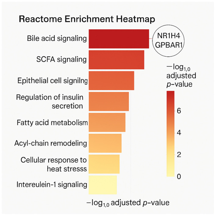 Figure 4