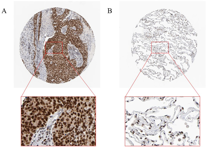 Figure 12