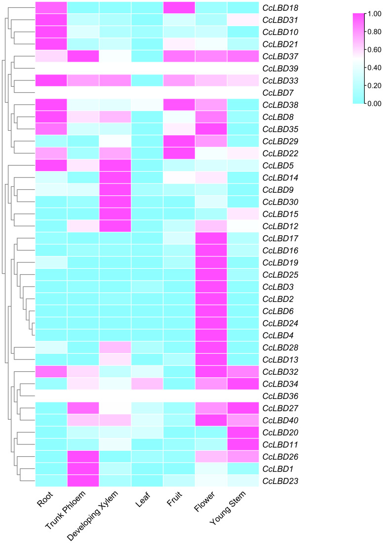 Figure 6