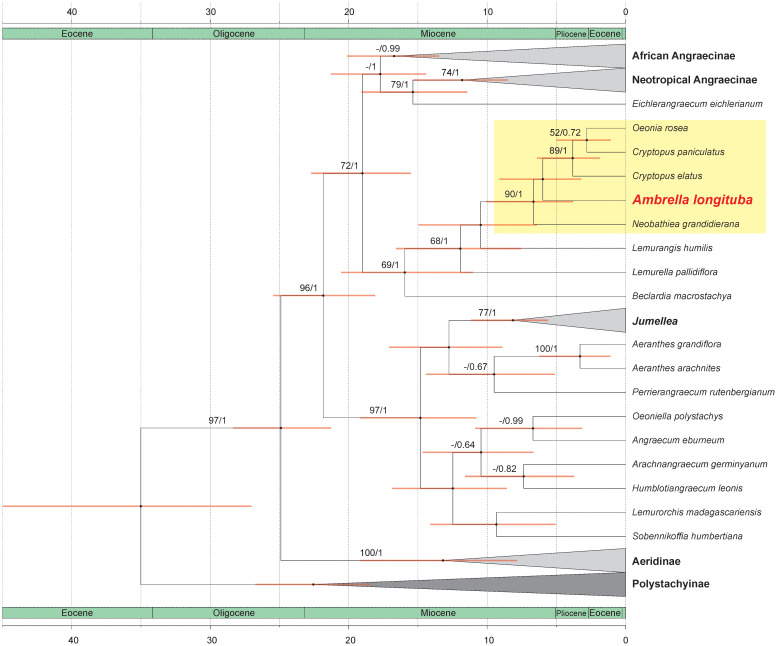 Figure 2