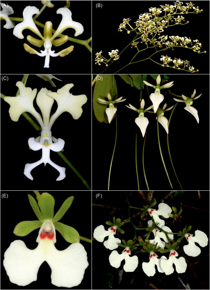 Figure 3