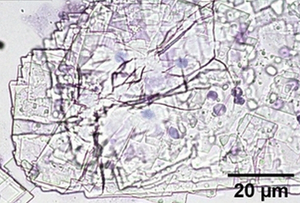 Figure 5