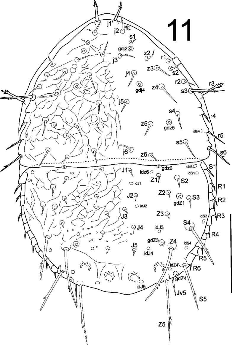 Fig. 11