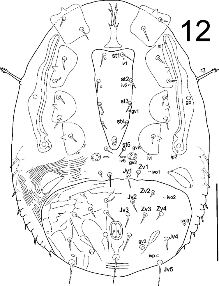 Fig. 12