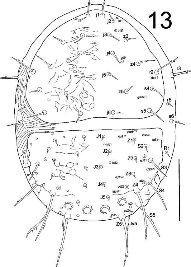 Fig. 13