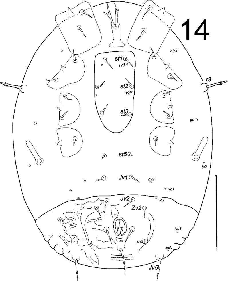 Fig. 14