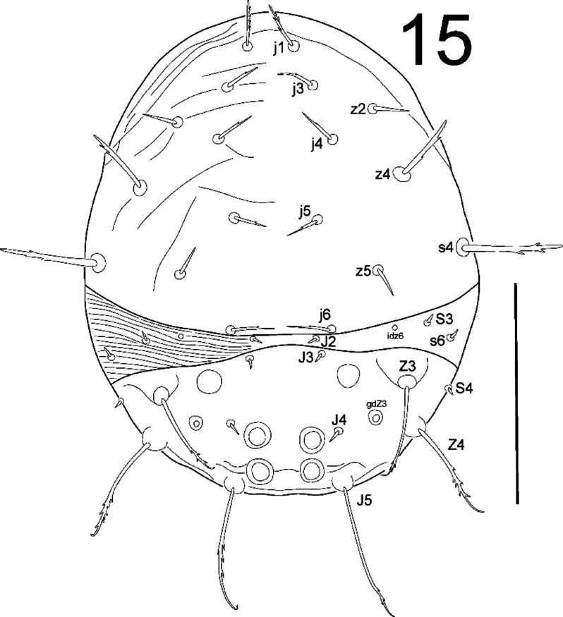 Fig. 15