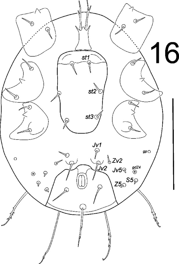 Fig. 16