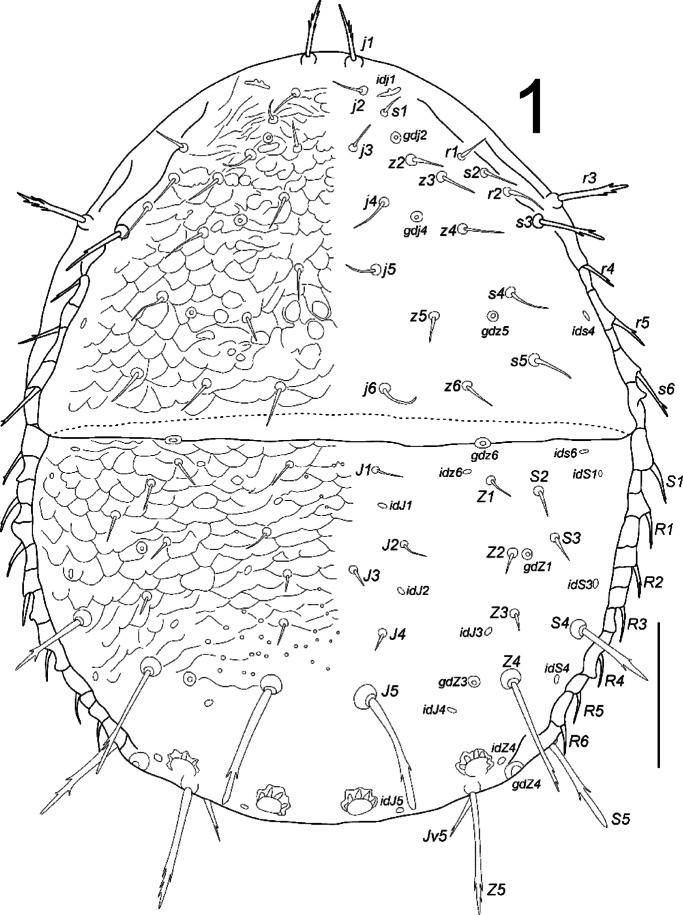 Fig. 1