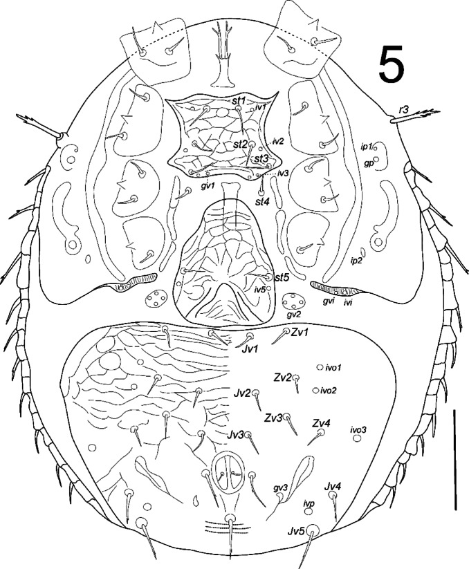 Fig. 5
