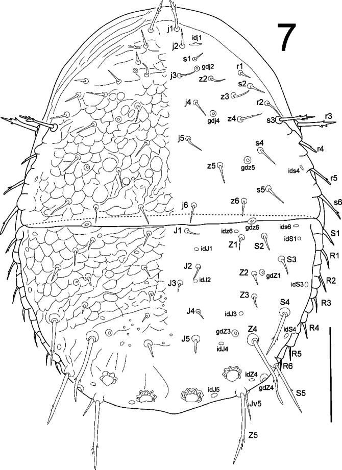 Fig. 7