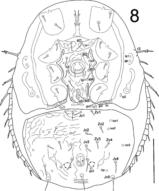 Fig. 8