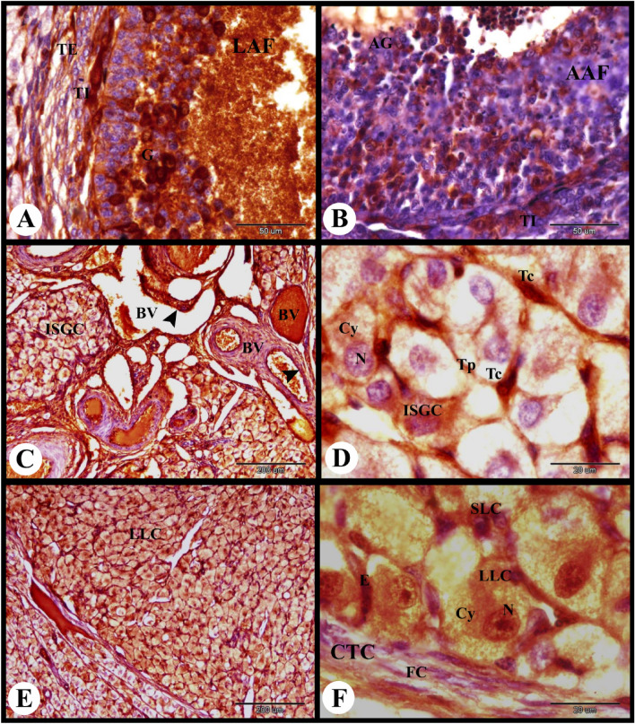 Figure 11