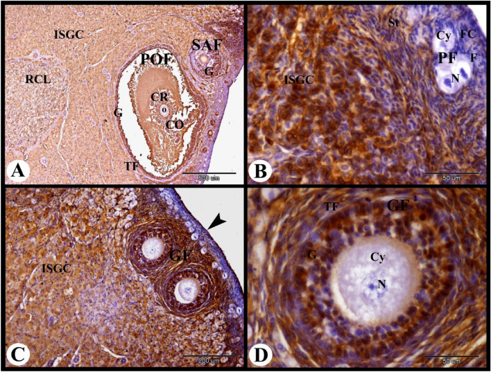 Figure 12