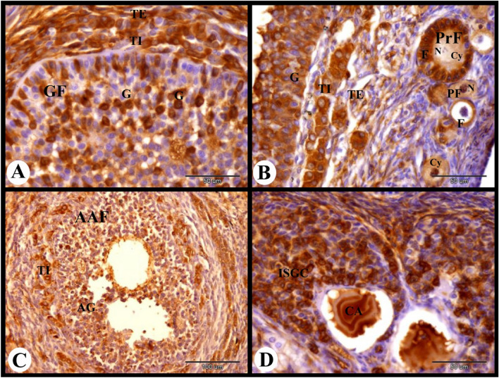 Figure 13