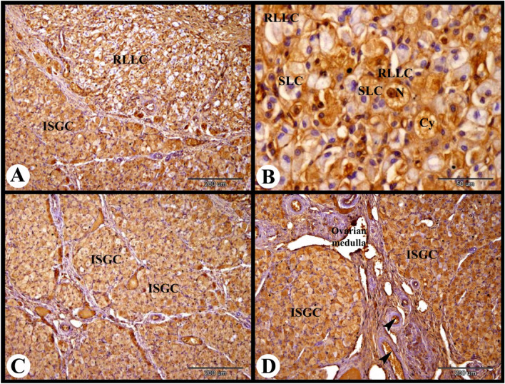 Figure 14