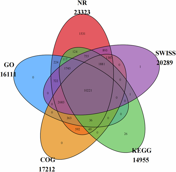Figure 5