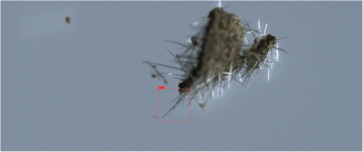FIGURE 9