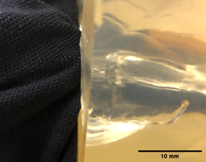 FIGURE 11
