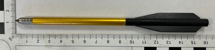 FIGURE 1