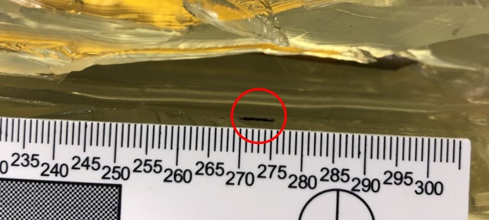 FIGURE 8
