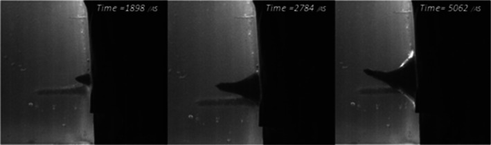 FIGURE 13