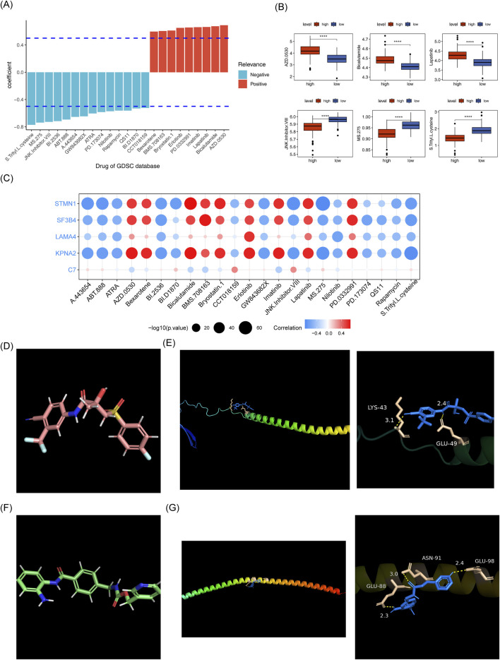FIGURE 12