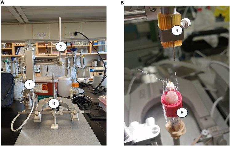 Figure 2