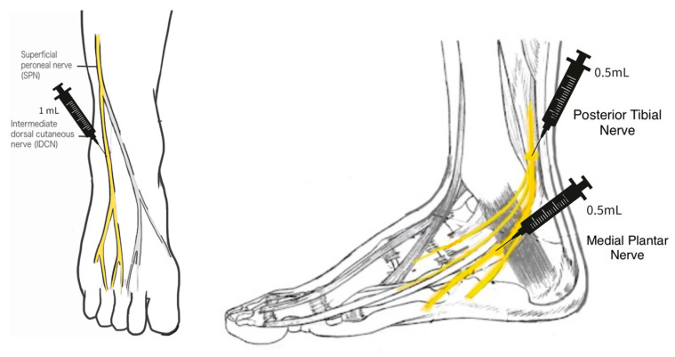 Figure 8