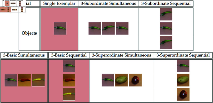 Fig 6