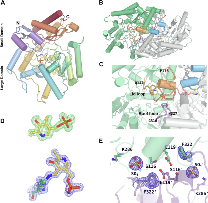 Figure 2