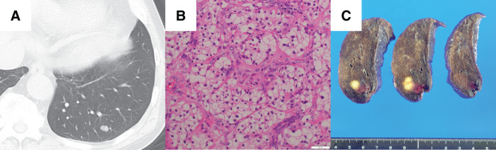 Fig. 3