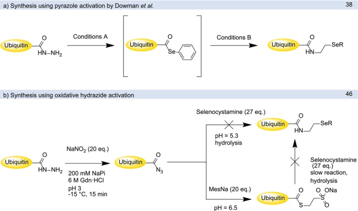 SCHEME 4