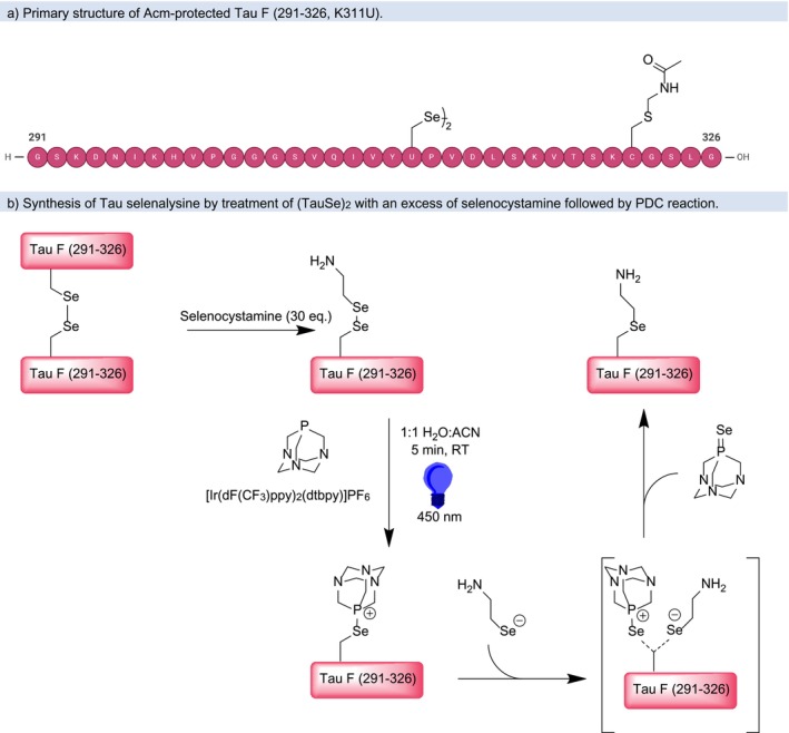 SCHEME 3