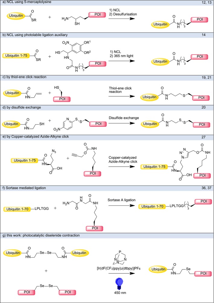 SCHEME 2