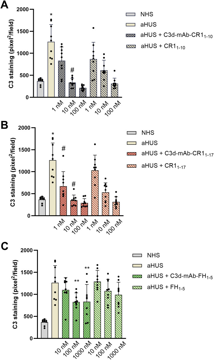 Figure 2